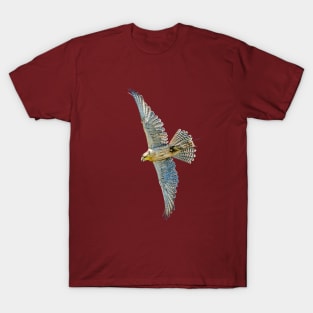 Gyr Falcon T-Shirt